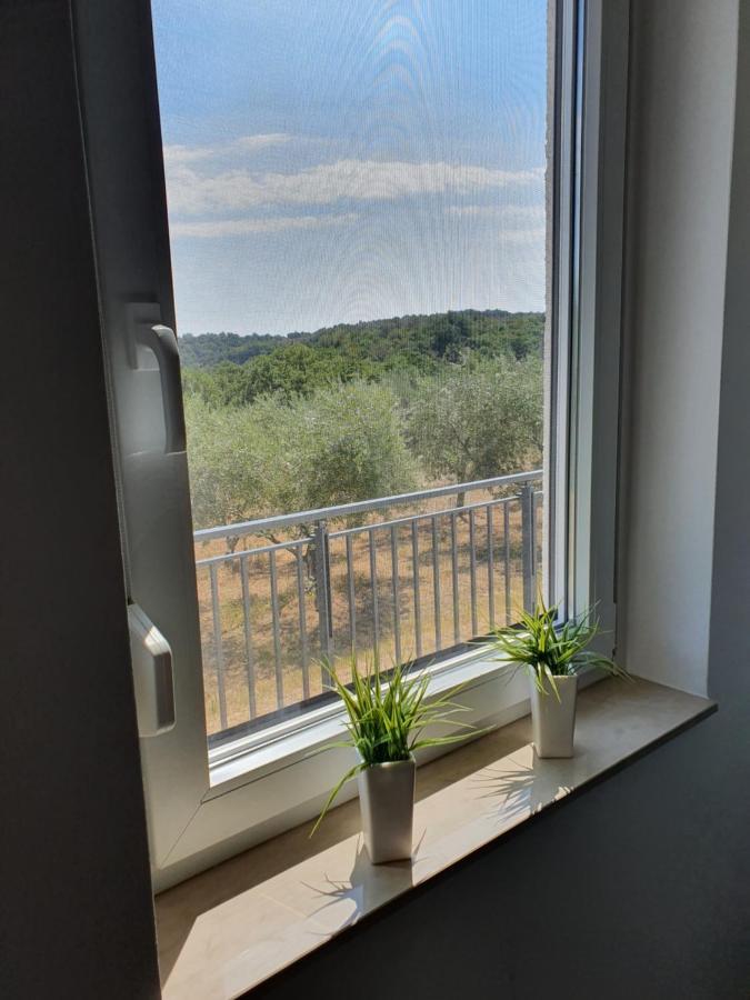 Apartma Zdenko 이졸라 외부 사진